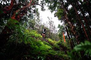 BIB: 
                            <button type="button" onclick="openModal(26201071)" class="btn btn-primary btn-sm float-right btn-popup" data-toggle="modal" data-target=".modal-high-quality">
                        <i class="fas fa-shopping-cart"></i> Add to Cart
                    </button>
                                            <button type="button" onclick="isThisMe(26201071, true)" class="btn btn-success btn-sm float-right btn-popup btn-isme hidden" data-toggle="tooltip" data-placement="bottom" title="นี่คือรูปของคุณใช่ไหม คลิกที่นี่เพื่อเอาเข้าอัลบั้ม">
                        <i class="fas fa-plus"></i> Add to album
                    </button>
                    <button type="button" onclick="isThisMe(26201071, false)" class="btn btn-warning btn-sm float-right btn-popup btn-isnotme hidden">
                        <i class="fas fa-ban"></i> Remove from album
                    </button>